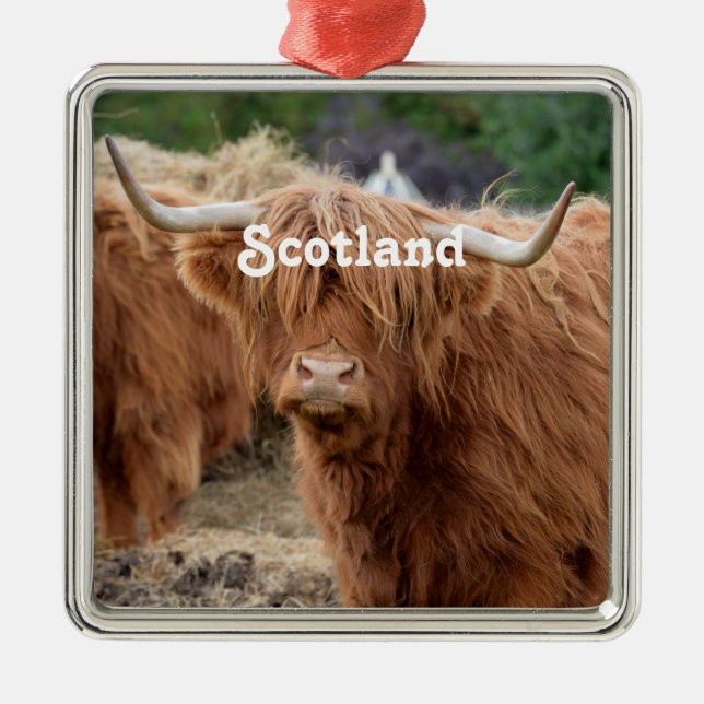 Highland Cow Metal Ornament (Front)