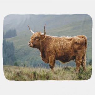 Highland Cow Misty Morning Baby Blanket