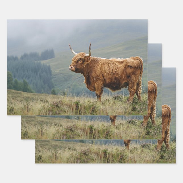 Highland Cow Misty Morning Decoupage Wrapping Paper Sheets (Set)