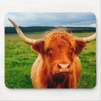 Highland Cow Mouse Pad