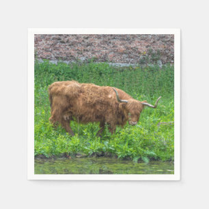 Highland cow paper napkins
