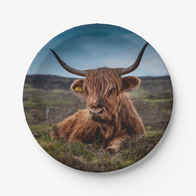 Highland Cow Paper Plates (Front)