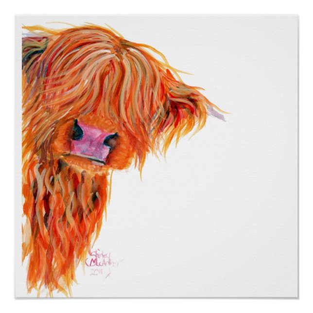 Highland Cow 'Peekaboo' Poster Print (Front)