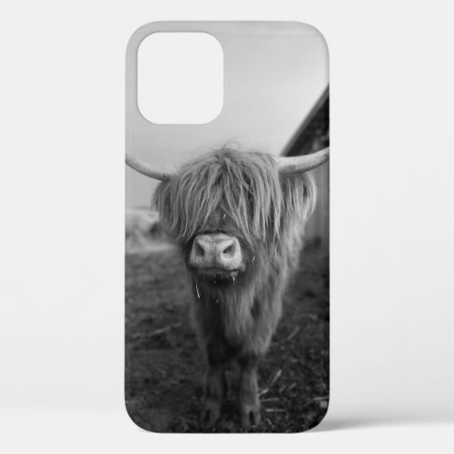 Highland Cow Phone Case