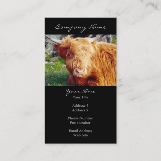 Customizable Highland Cow Photo Business Cards
