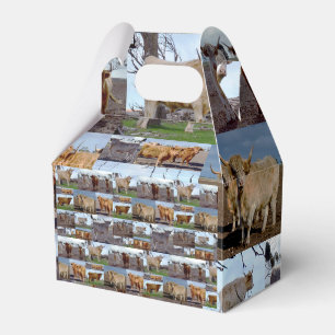 Highland Cow Photo Collage, Favor Boxes