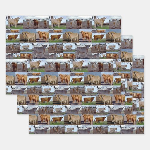 Highland Cow Photo Collage Gift Wrap Sheets