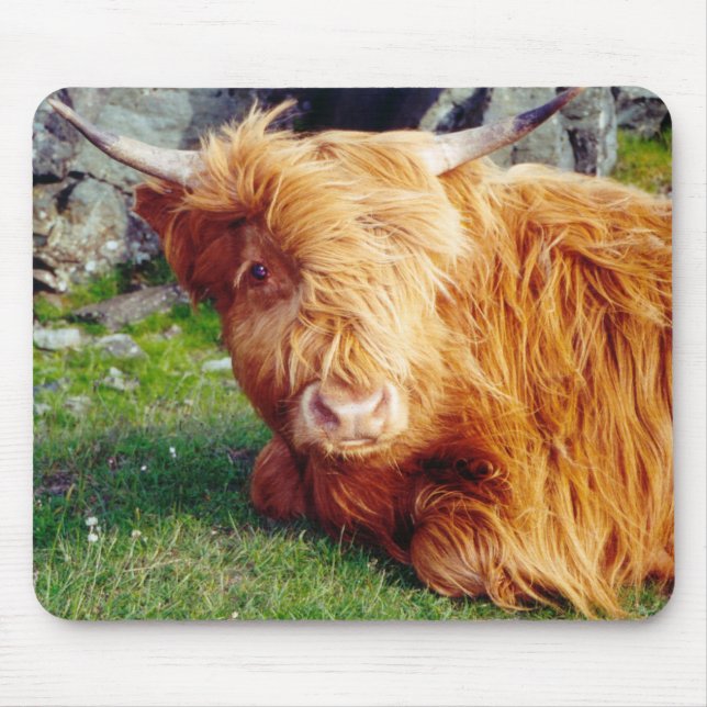 Highland Cow Photo Mouse Pad (Front)