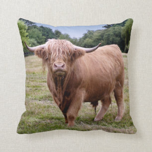 Highland Cow Pillow