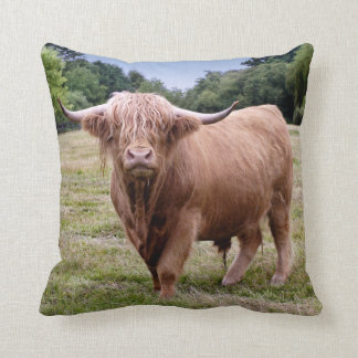 Cow Pillows - Decorative & Throw Pillows | Zazzle
