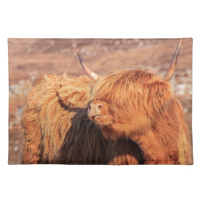 Highland Cow Placemats (Front)
