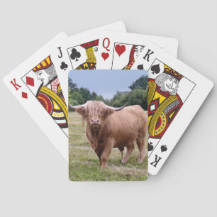 Highland Cow Playing Cards