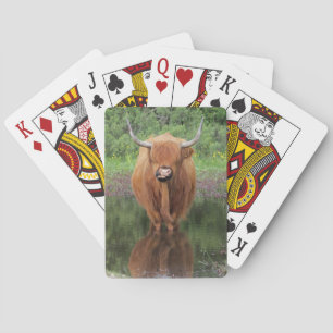 Highland cow playing cards