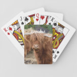 Highland Cow Poker Cards