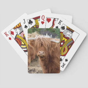 Highland Cow Poker Cards