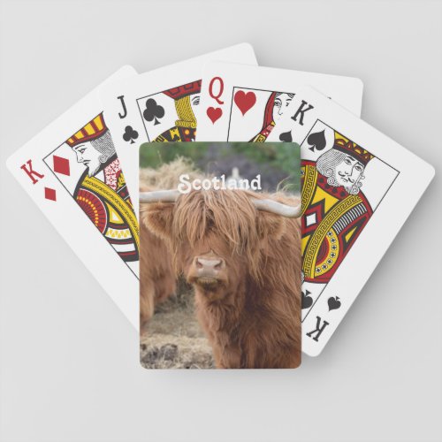 Highland Cow Poker Cards