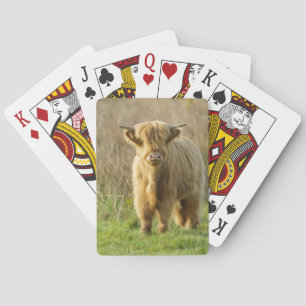 Highland Cow Poker Cards