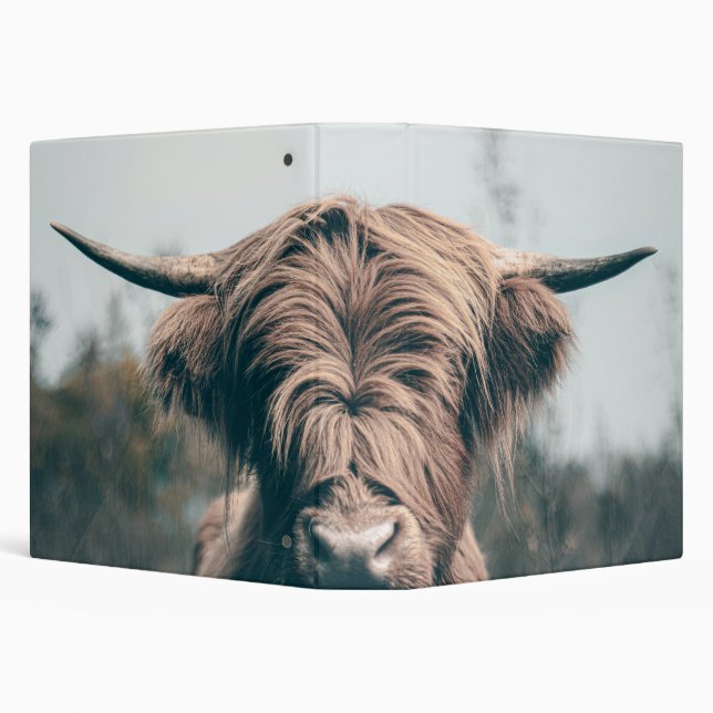 Highland cow portrait 3 ring binder (Background)