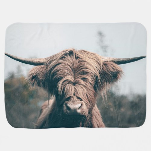 Highland cow portrait baby blanket