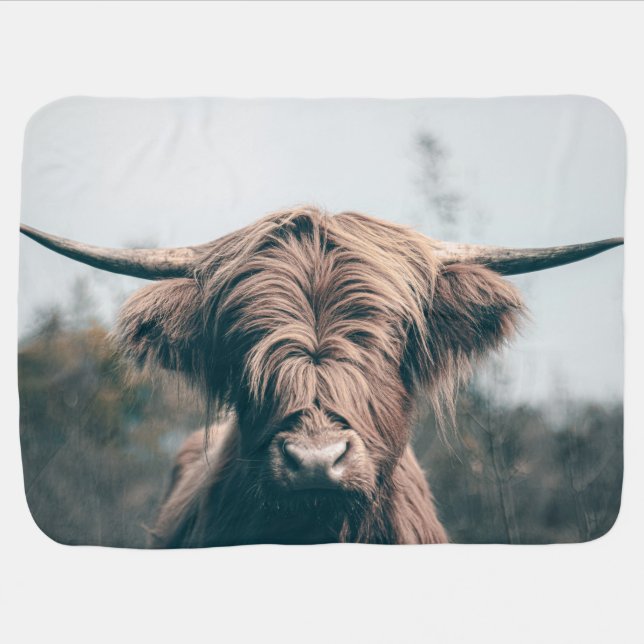 Highland cow portrait baby blanket (Horizontal)
