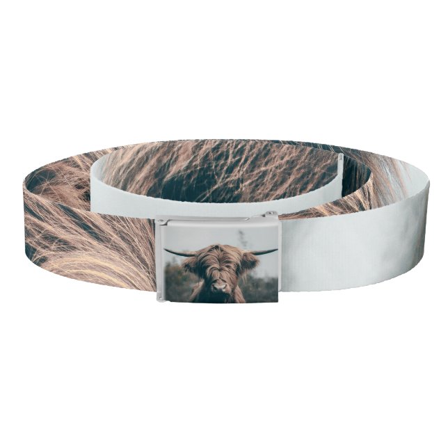 Highland cow portrait belt (Coil)