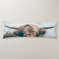Highland cow portrait