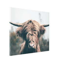 Highland cow portrait canvas print