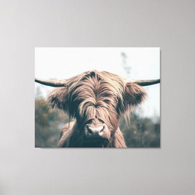 Highland cow portrait canvas print (Front)