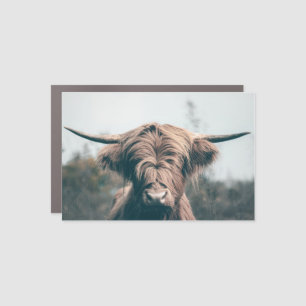 Highland cow portrait car magnet