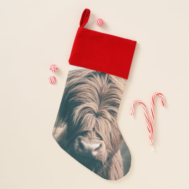 Highland cow portrait christmas stocking (Front)