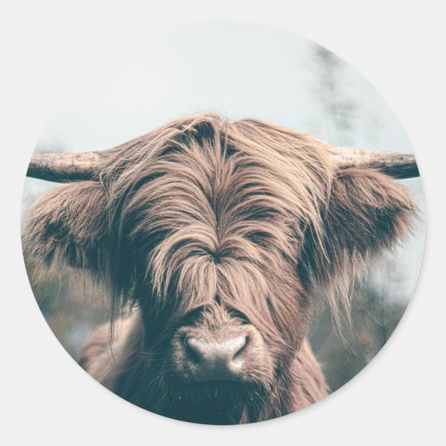 Highland cow portrait classic round sticker (Front)