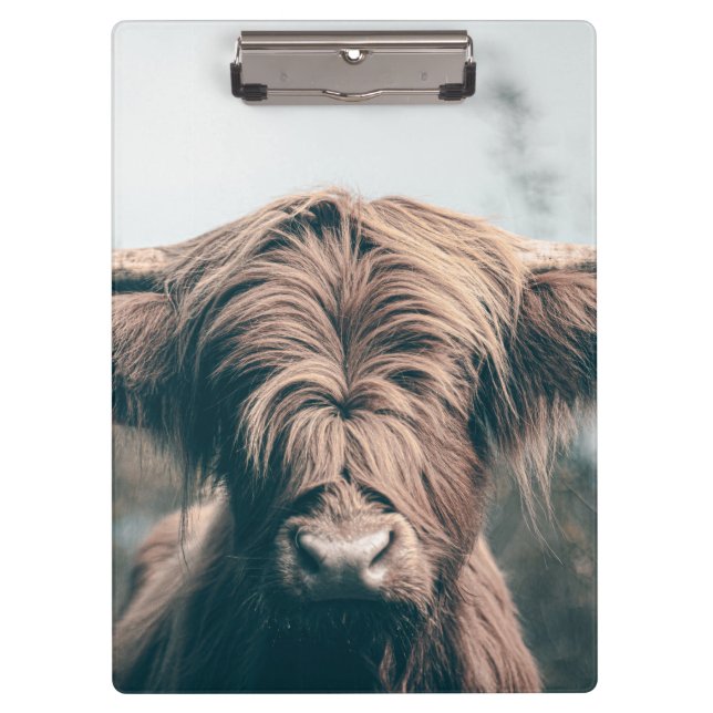 Highland cow portrait clipboard (Front)