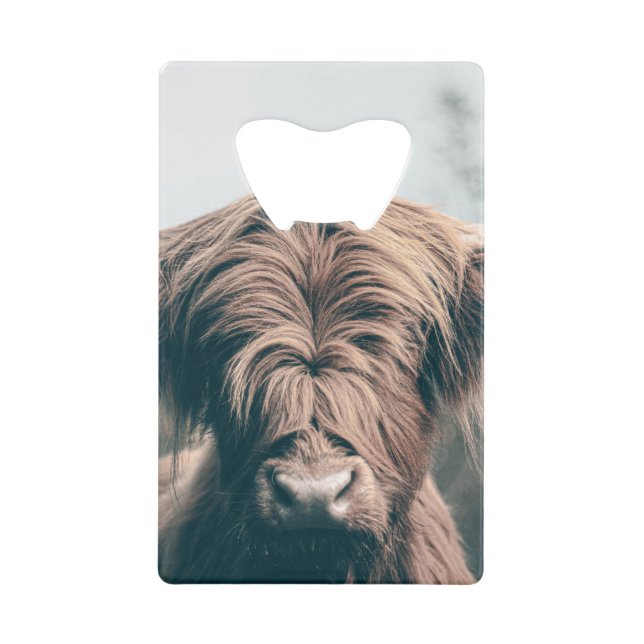 Highland cow portrait credit card bottle opener (Front)