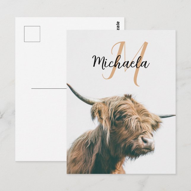 Highland cow portrait custom name initial monogram postcard (Front/Back)