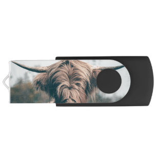 Highland cow portrait flash drive