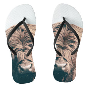 Highland cow portrait flip flops