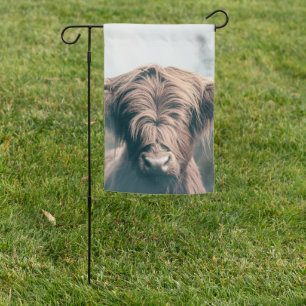 Highland cow portrait garden flag