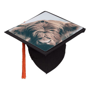 Highland cow portrait graduation cap topper