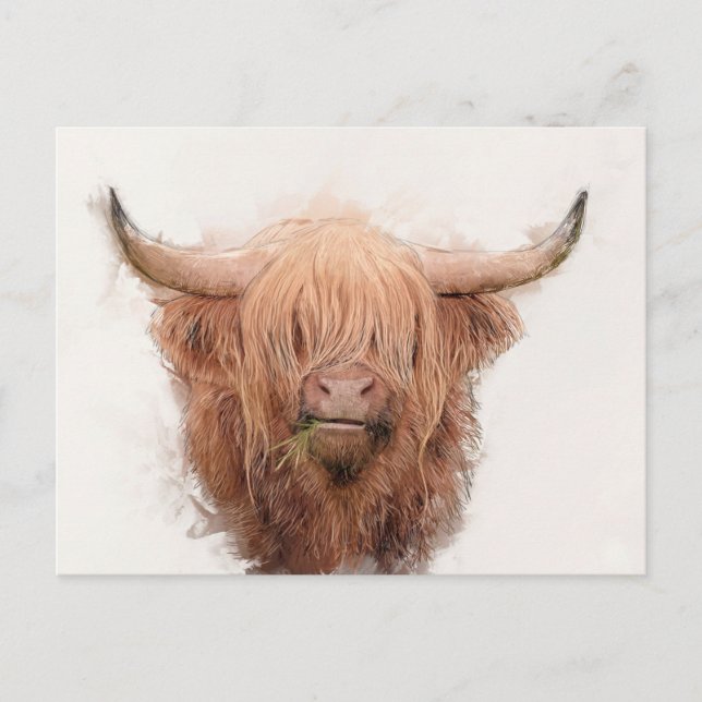 Highland Cow Portrait Holiday Postcard (Front)