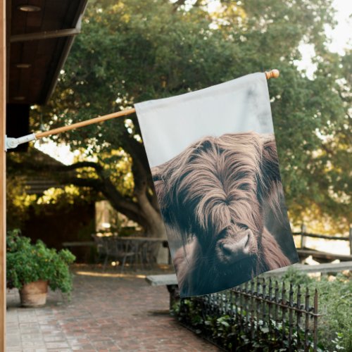 Highland cow portrait house flag