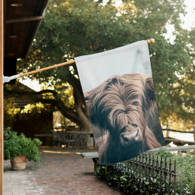Highland cow portrait house flag (In SItu)