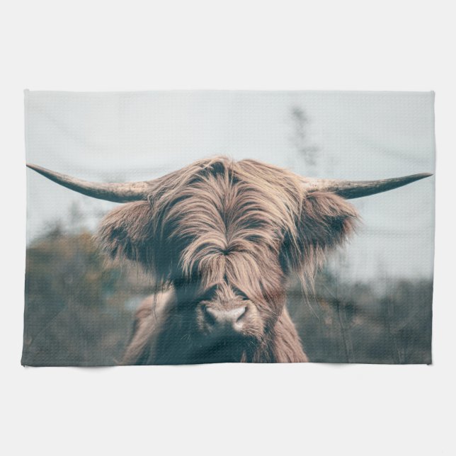 Highland cow portrait kitchen towel (Horizontal)