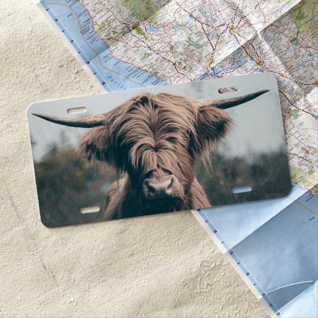 Highland cow portrait license plate (In Situ)