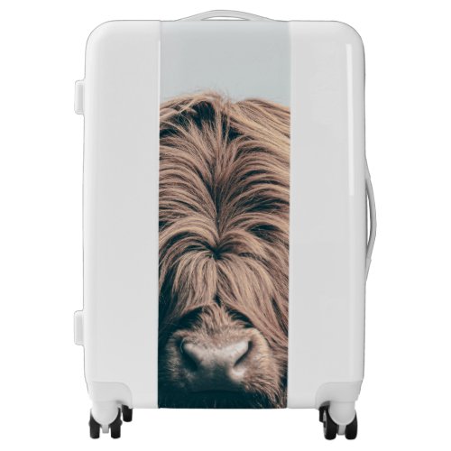 Highland cow portrait luggage