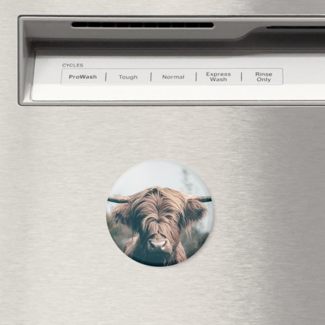 Highland cow portrait magnet (In Situ (Dishwasher))