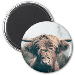 Highland cow portrait magnet