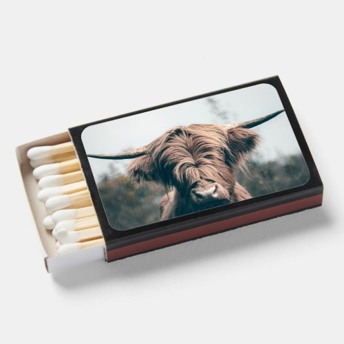 Highland cow portrait matchboxes