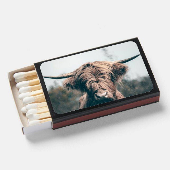 Highland cow portrait matchboxes (Front Open)