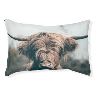 Highland cow portrait pet bed
