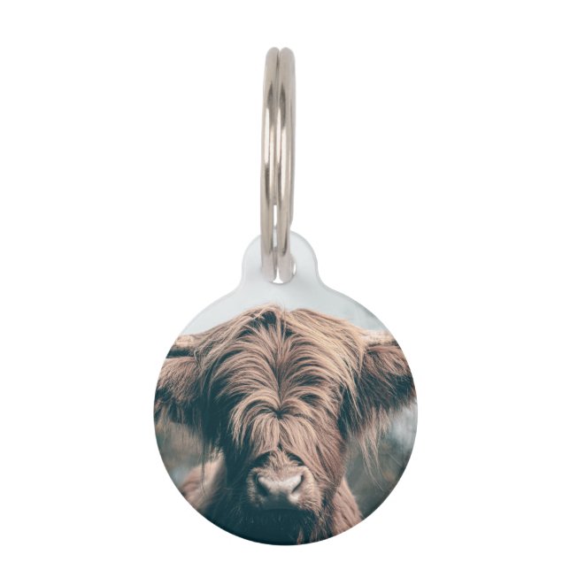Highland cow portrait pet ID tag (Front)